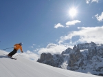 Dolomiti safari